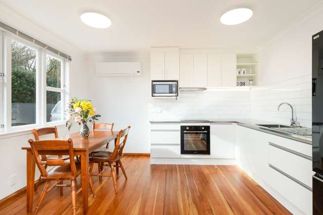 18B Freyberg Street Roslyn_4