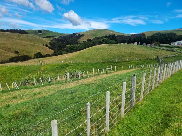 4820 Pahiatua Pongaroa Road Pongaroa_7