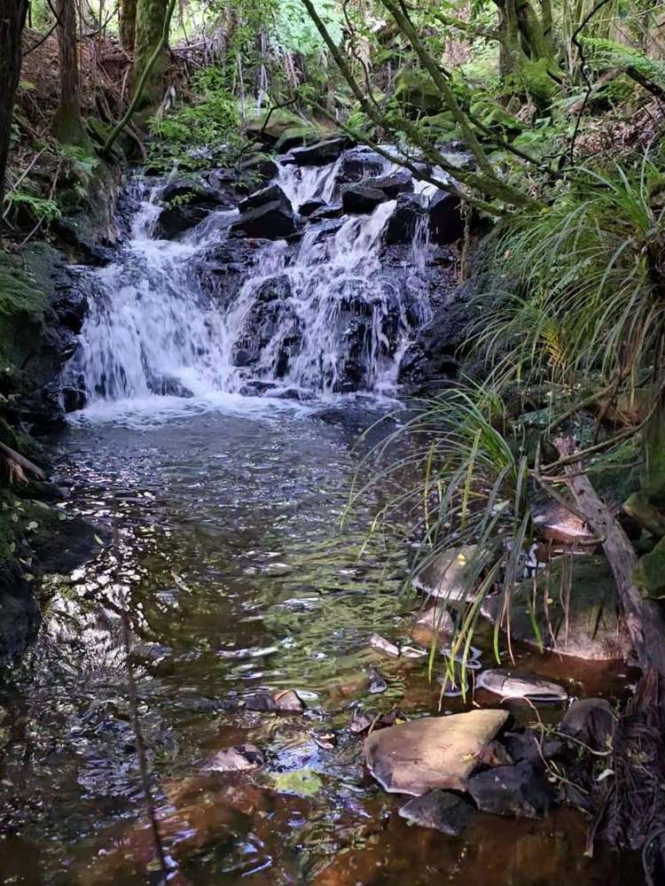 486 Pinnacle Hill Road Bombay_20