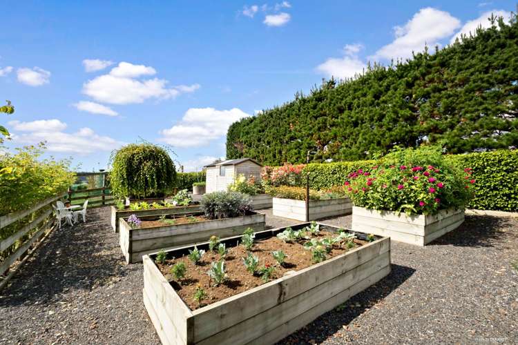 95d Ostrich Road Patumahoe_19