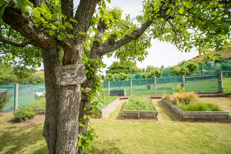 20 Letts Gully Road Alexandra_21