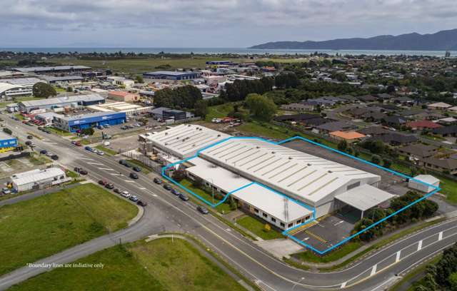 Prime Industrial Gem on Te Roto Drive