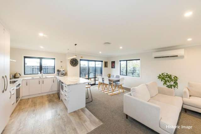 17A McGregor Street Milson_1