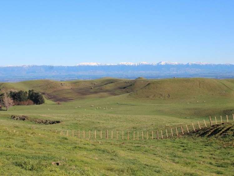 434 Hatuma Road Waipukurau and Surrounds_13