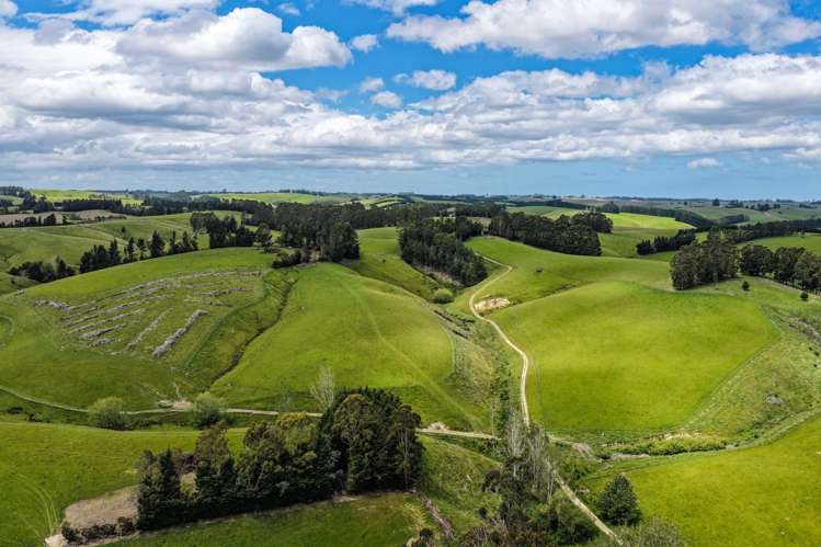 144 Block Road Pukeawa_10