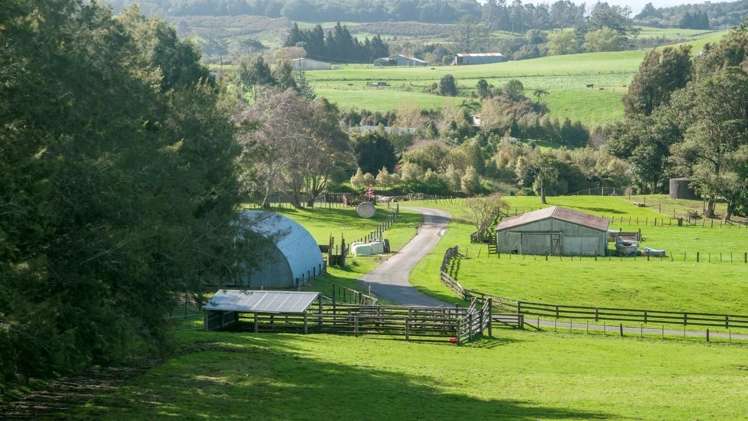 37a Odey Road Whakamarama_19