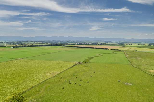 Quality farm, so many options