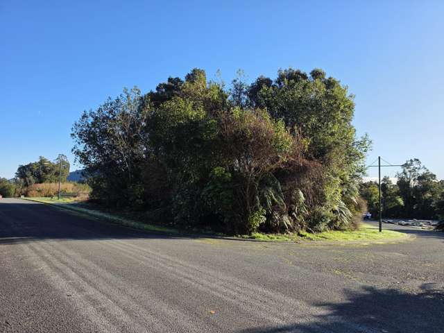 33 Highlander Drive Franz Josef Glacier_3