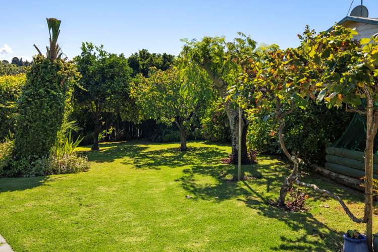 1 Winiata Street Brookfield_6