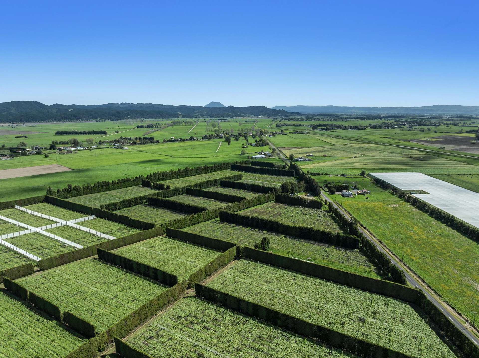 37 Selwyn Road Poroporo_0