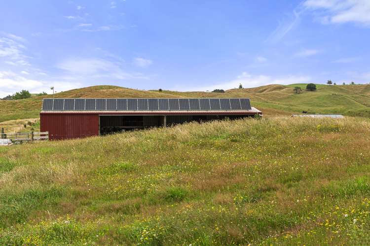 1173 Churchill Road Pukekawa_14