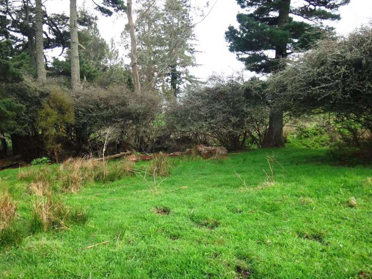 18 Kirk Street Matawai_18