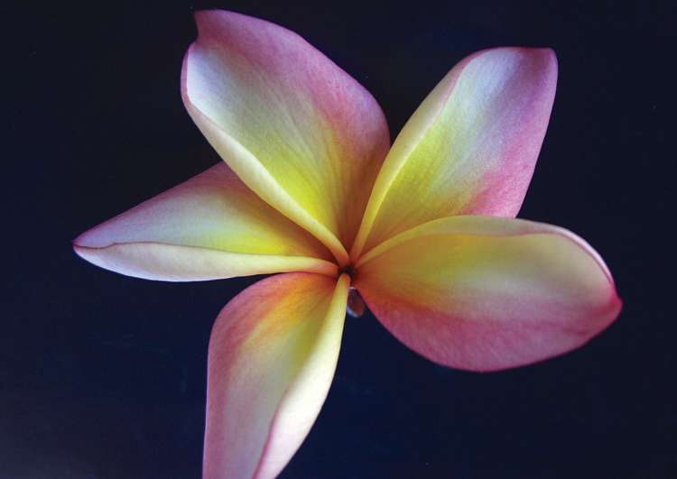 330 West Coast Road Awanui_23