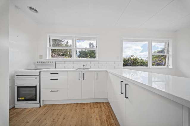 155 Great South Road Drury_3