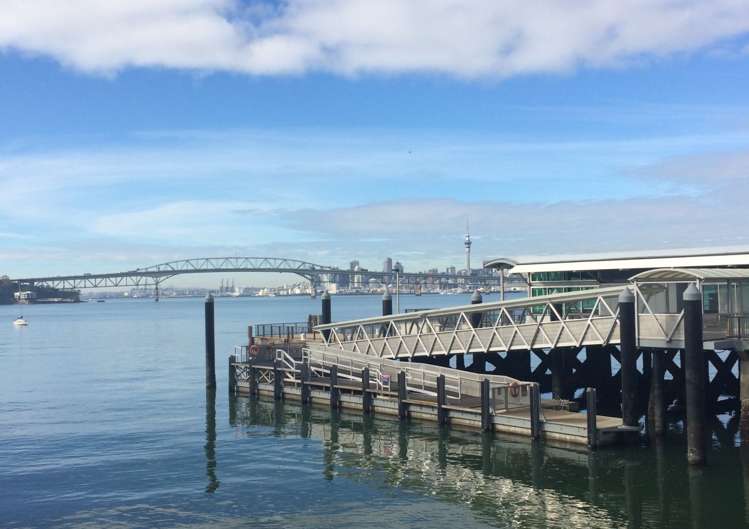 4a Wanganella Street Birkenhead_3