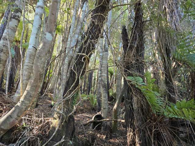 7 Rata Street Stewart Island_4