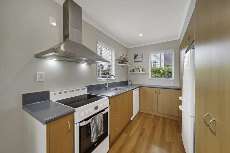 135 Waltham Road Sydenham_4