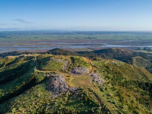 1036 Klondyke Road (Central) Port Waikato_1