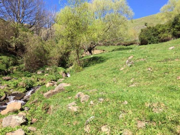 4987 Christchurch Akaroa Road Little River_17