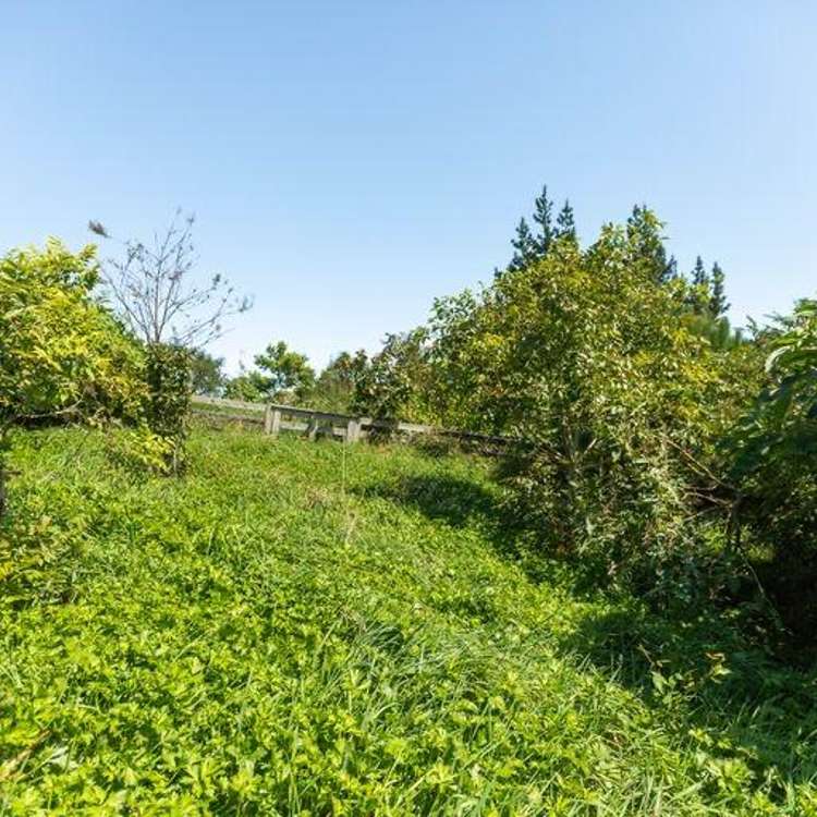 121A Princes Street Waikino_12