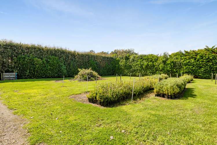 183 Tasman Street Opunake_11