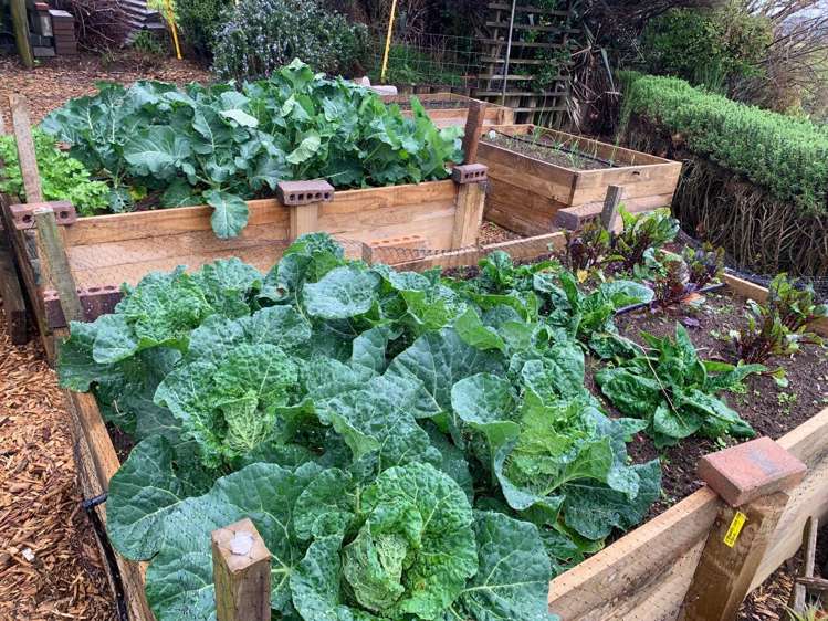 1124 Awhitu Road Waiuku_18