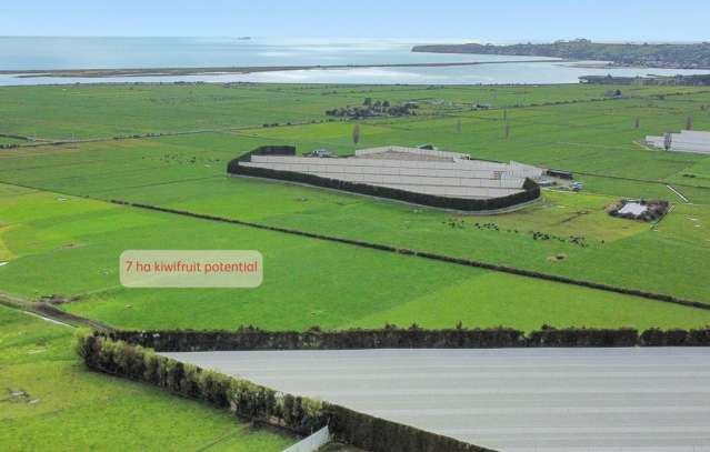 329 Kaituna Road Paengaroa_4