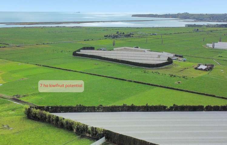 329 Kaituna Road Paengaroa_4