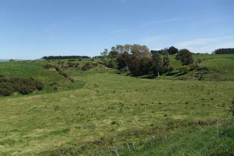 24 Ryland Park Levin_6