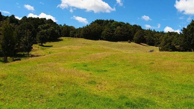 173 Monument Road Hukerenui_2