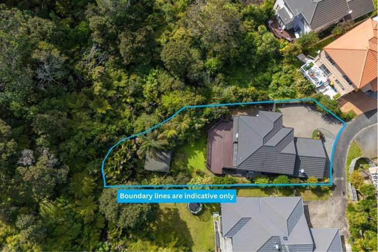 133A Glendhu Road Bayview_20