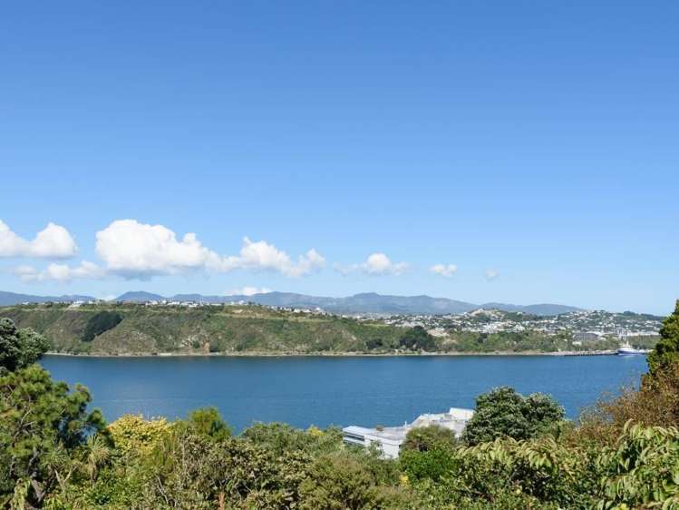 58a Kainui Road Hataitai_13