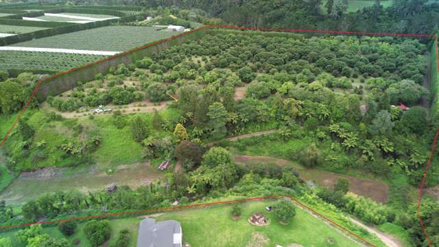 400 Te Matai Road Te Puke_4