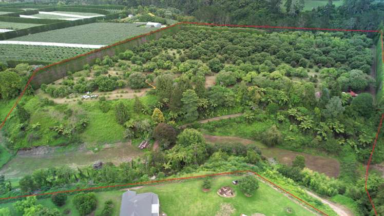 400 Te Matai Road Te Puke_4