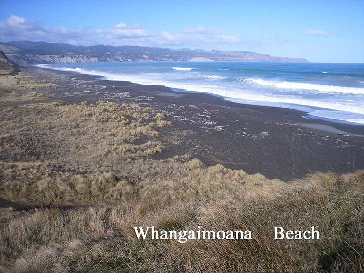 83 Whangaimoana Beach Road Pirinoa_18