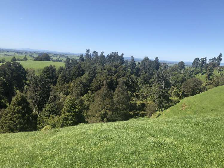 1026 Limeworks Loop Road Karamu_21