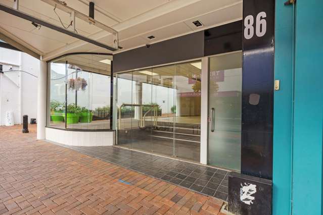 86 Bridge Street Nelson_2
