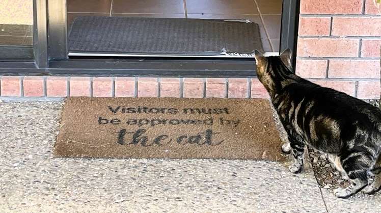 44b Church Street Tuakau_11