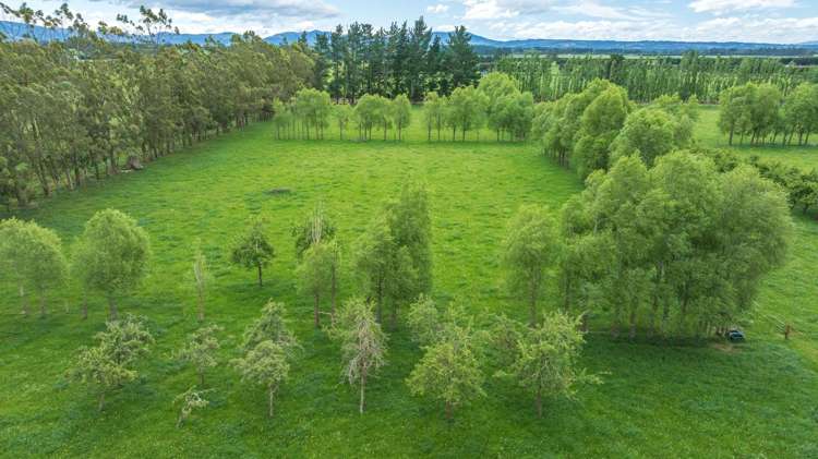 420A Woodfields Road Swannanoa_9