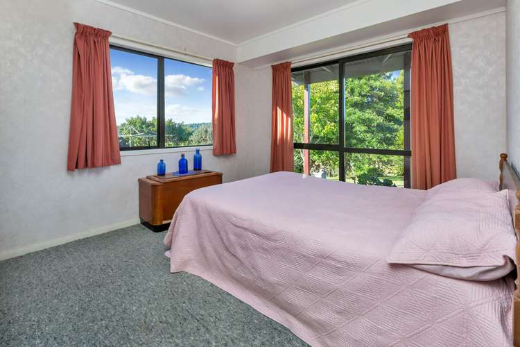 903 Springfield Road Mangapai and Surrounds_13