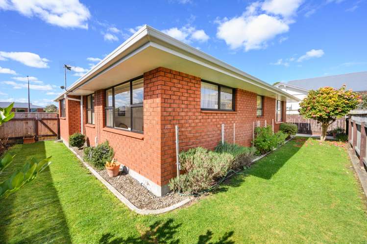 74 Albert Street Palmerston North Central_17