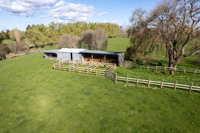 369 Hautapu Road Tamahere_1