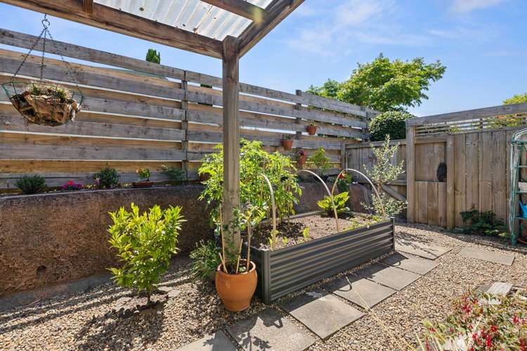 291 Gravatt Road Papamoa_11