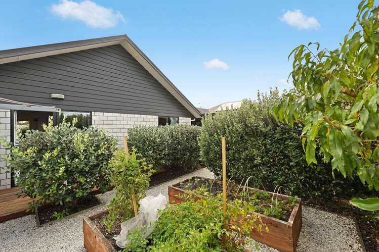 52 Norfolk Drive Cambridge_15