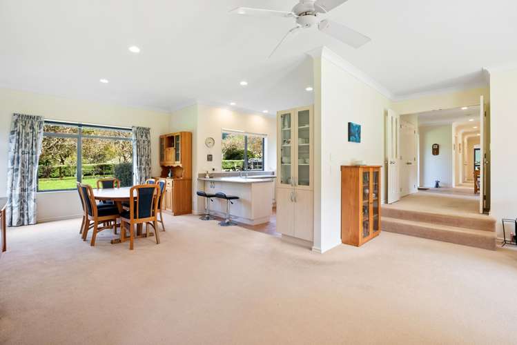 100 Maui Pomare Road Nikau Valley_9