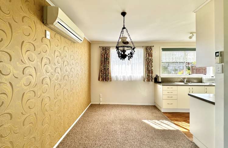 29 Walnut Place Tokoroa_1