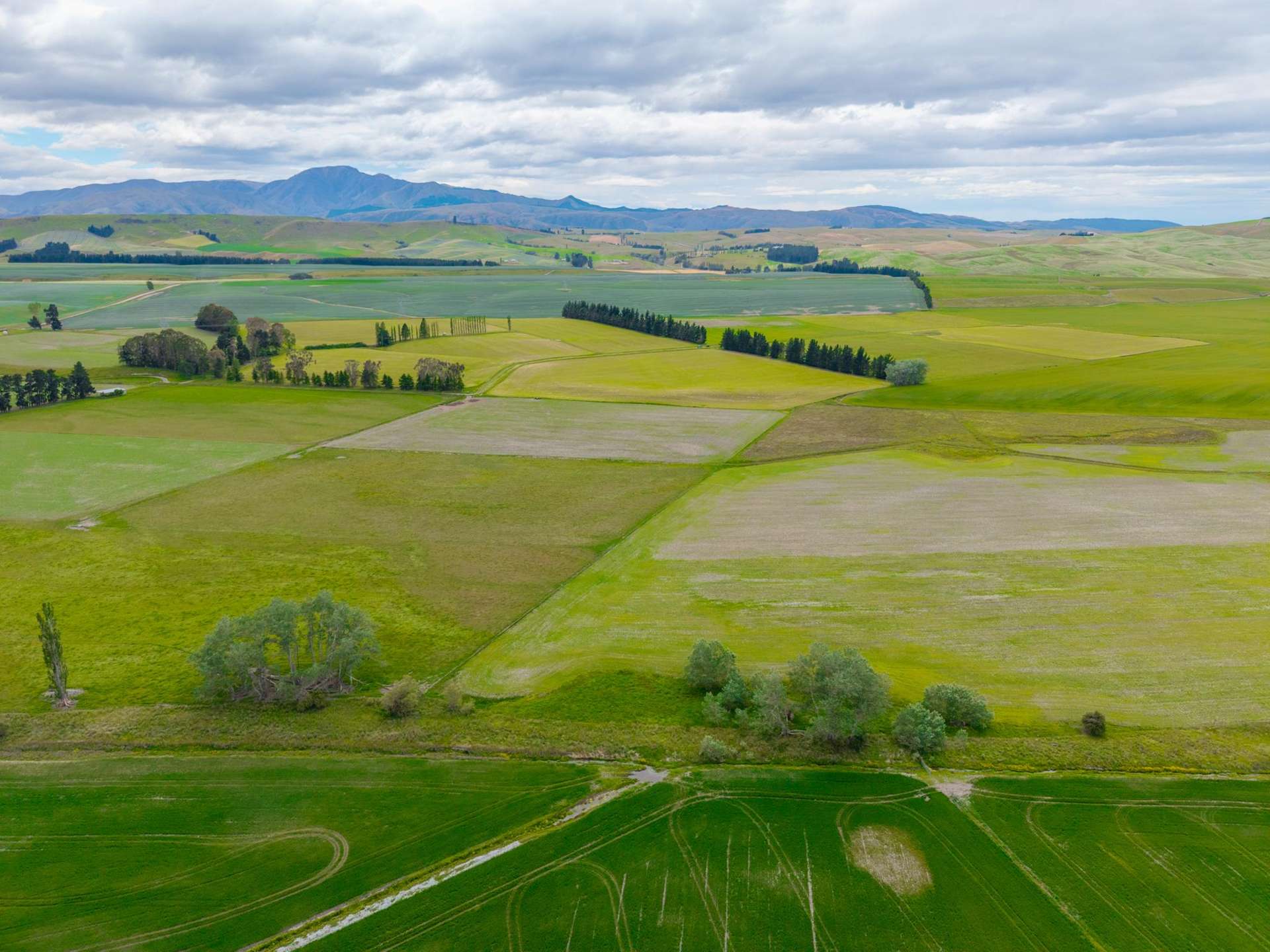 311 Hamilton Road Fairlie_0