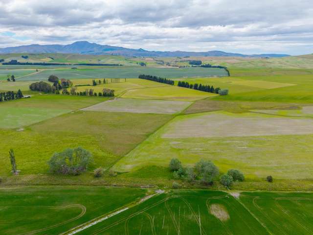 Proven dairy support opportunity