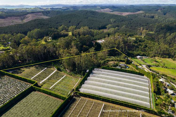170d Kerikeri Inlet Road Kerikeri_30