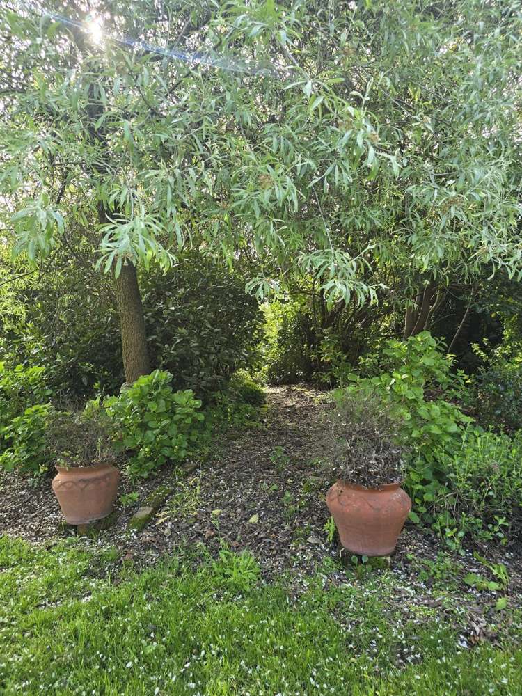 5 Newton Place Amberley_34